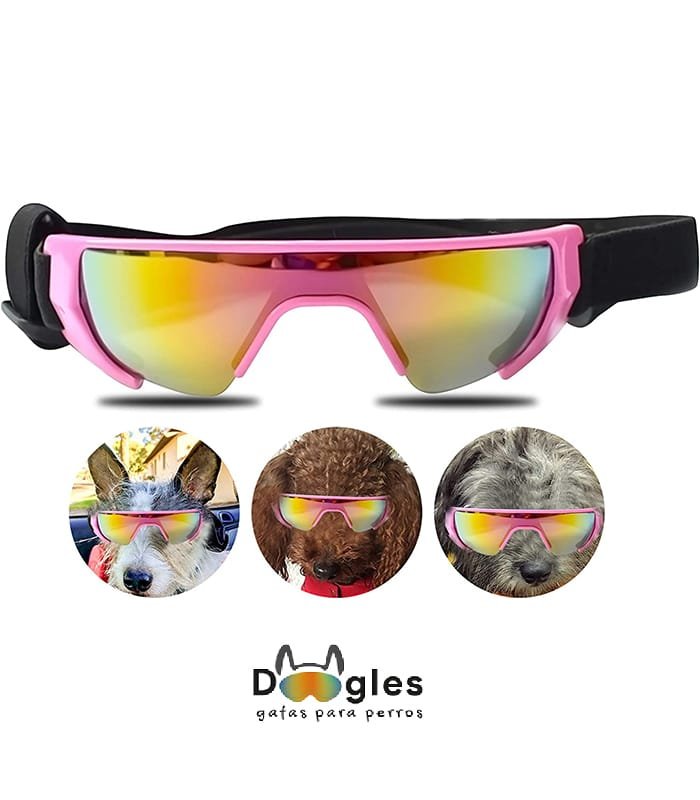 gafas para perro mediano gafas para perro mediano