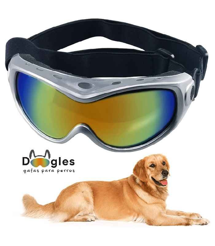 gafas-de-sol-para-perrO gafas para perro