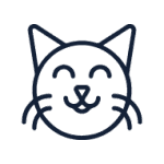 juguetes gato catnip collares