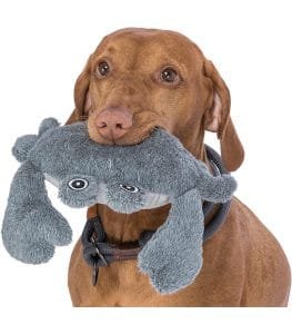 36041 cangrejo be nordic trixie1