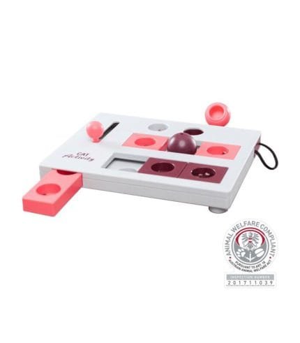 4596-Cat-Activity-Brain-Mover-strategy-game-rompecabezas-gato1 Gato jugando con el Cat Activity Brain Mover, un juego de estrategia y rompecabezas.