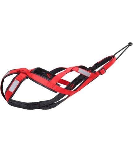 pechera-arnes-perro-canicross-correr