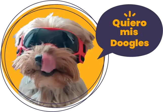 gafas_perro_pequeño
