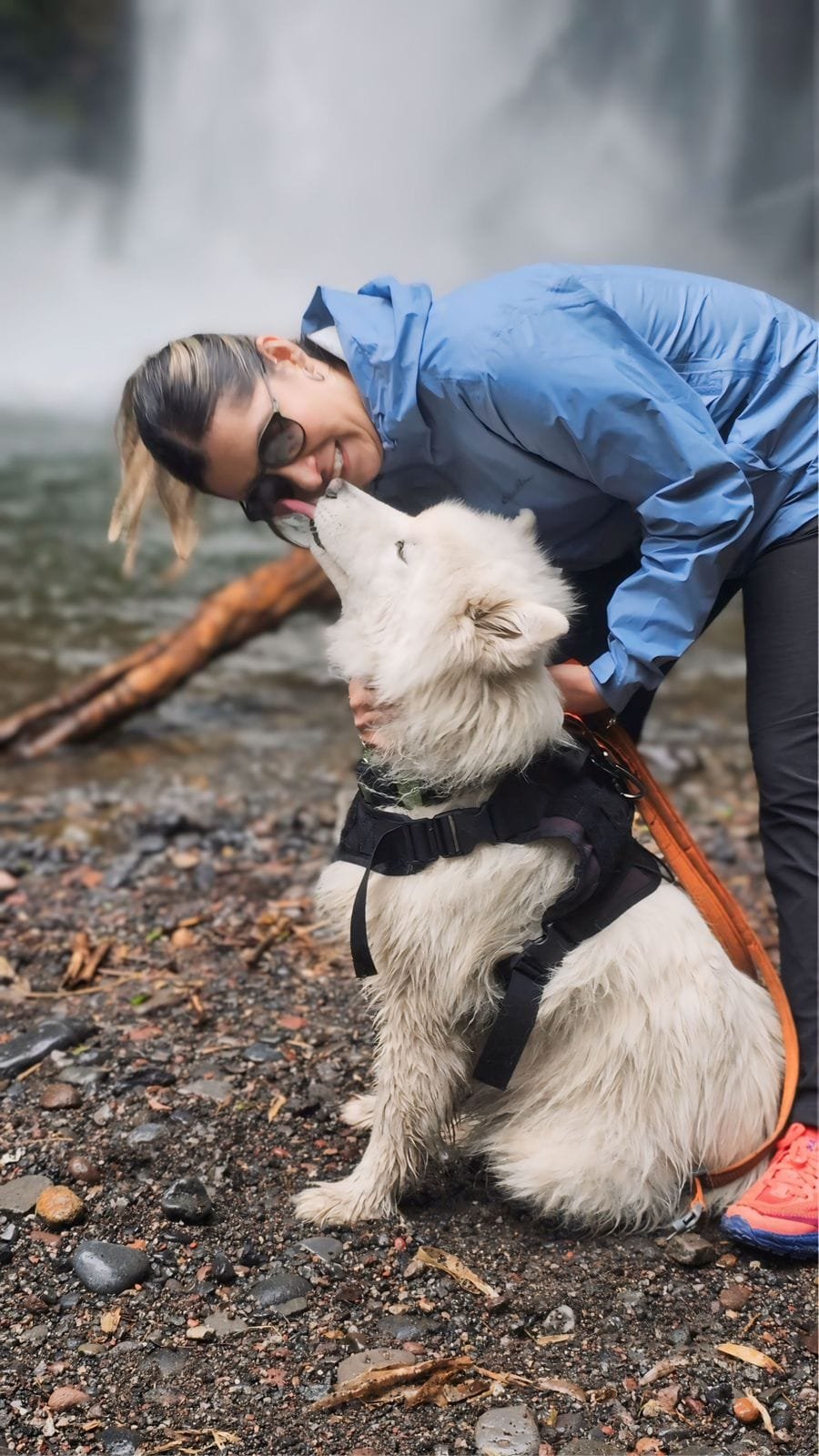 molinuco pet friendly