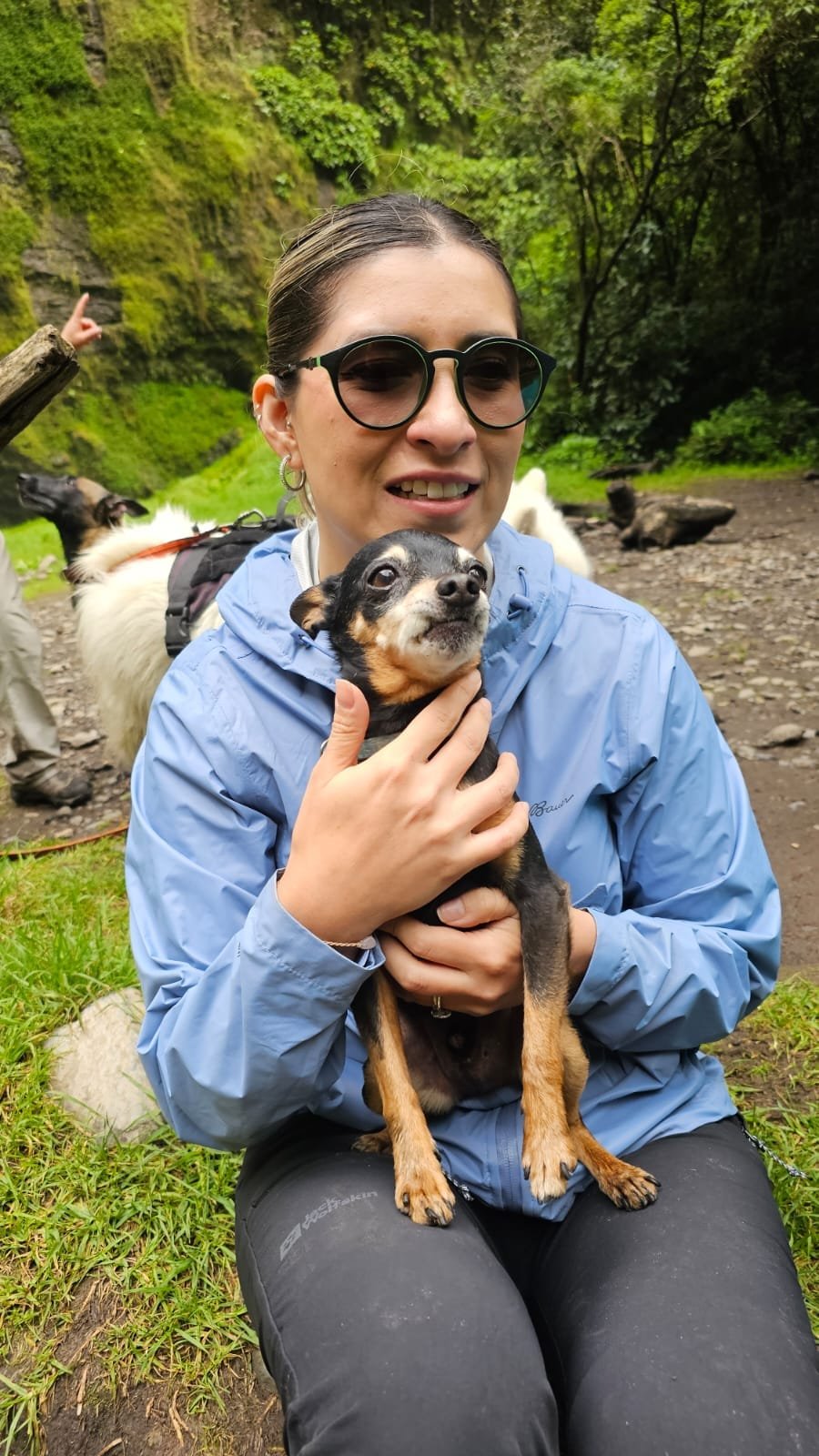 paseo pet friendly molinuco