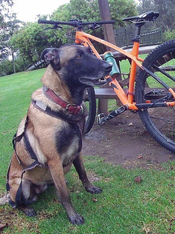 parque metropolitano quito