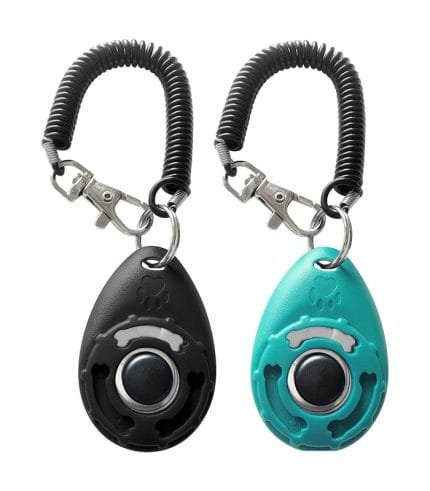 clicker para-adiestramiento-educacion canina